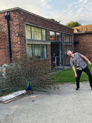 Event The Marlins Function Band North Yorkshire