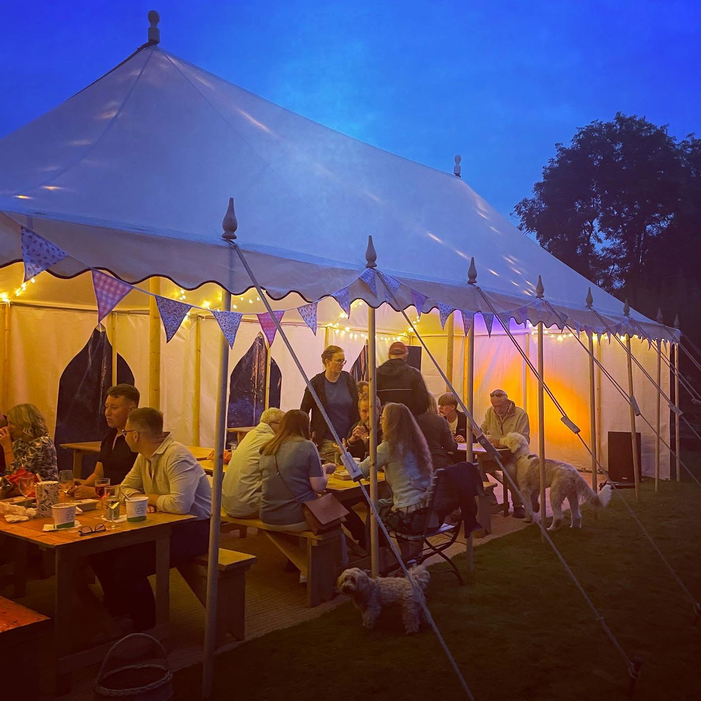 Tom Charles Singer Guitarist Review Private Party Hertfordshire