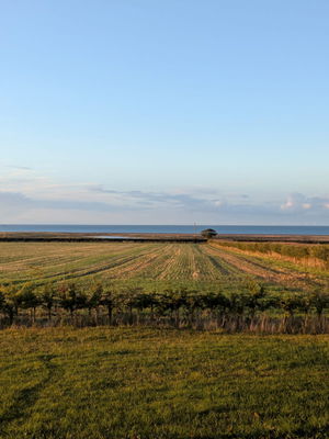 Event The Rips Function Band Northamptonshire