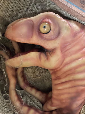 Event Dougie the Dino Mix and Mingle Entertainer Norfolk