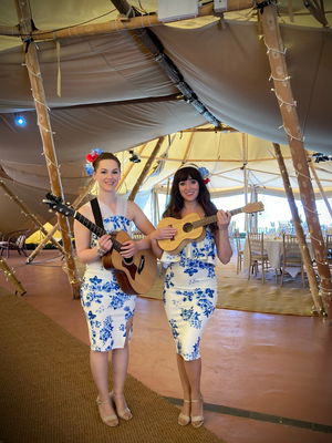 Event Uke Complete Me Ukulele Roaming Duo or Band London