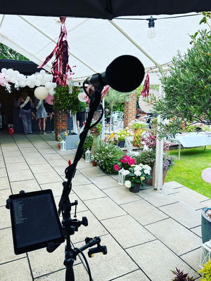 Event George W Singer Guitarist Essex