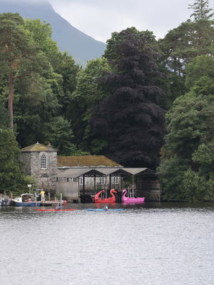 Event 5 Star Fun Casino Casino Staffordshire