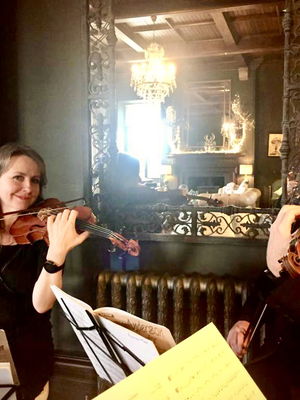 Event Solar Strings String Quartet Cramlington, Newcastle Upon Tyne