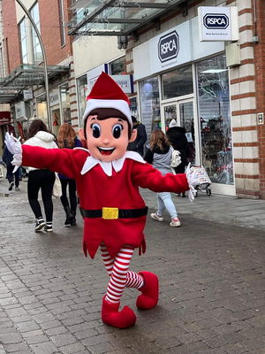 Event The Christmas Elf Walkabout Character Norfolk