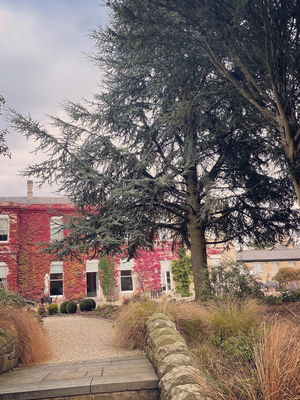 Event DoubleFace Acoustic Duo London