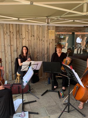 Event Prosecco Quartet String Quartet Malvern, Worcestershire
