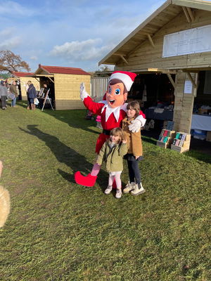 Event The Christmas Elf Walkabout Character Norfolk