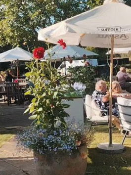 Event Valentine Singer Guitarist London