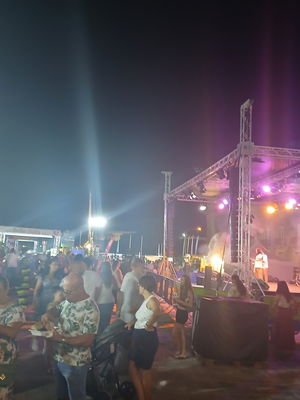 Event (Tom Jones) The Voice of Tom Jones Tribute Act Worcestershire