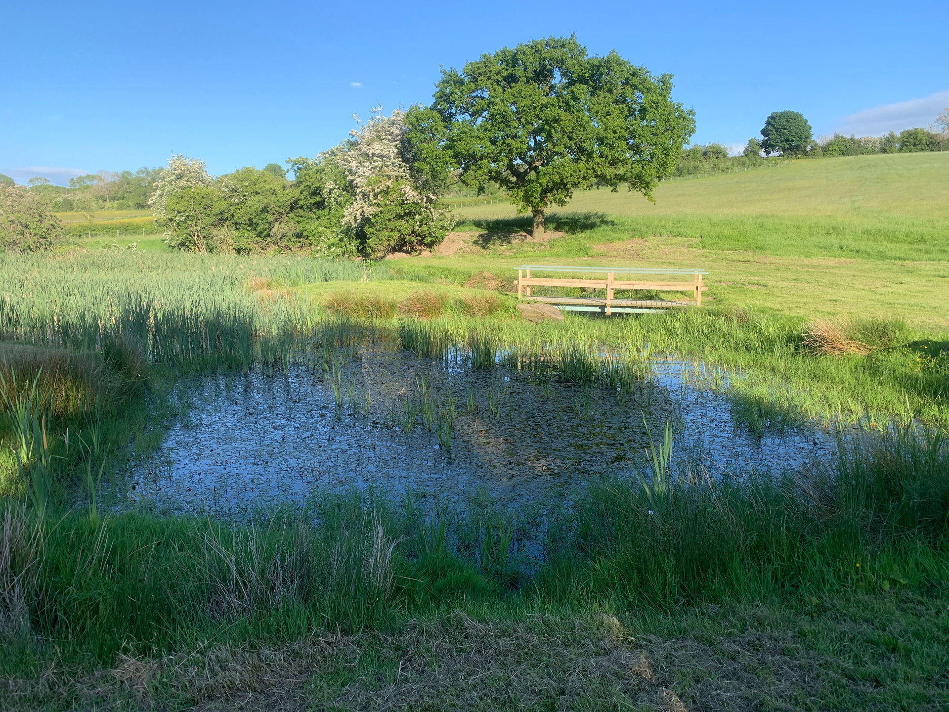 The Marlins Function Band Review Wedding North Yorkshire