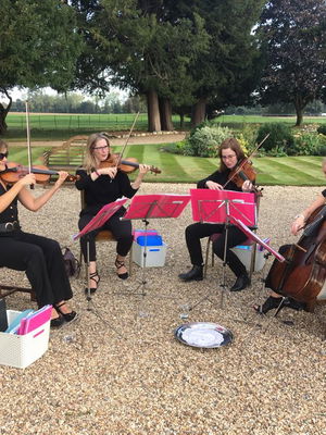 Event The Rose String Quartet String Quartet Hertfordshire