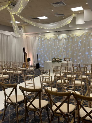 Event Scarlett Harp Harpist Bristol