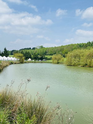 Event Elly Singer Guitarist London