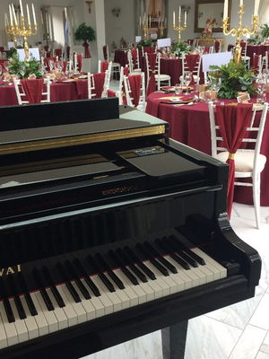 Event Dan John Pianist Pontypridd, South Wales