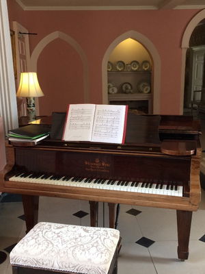 Event Dan John Pianist Pontypridd, South Wales