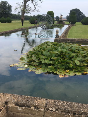 Event Northlights String Quartet West Yorkshire