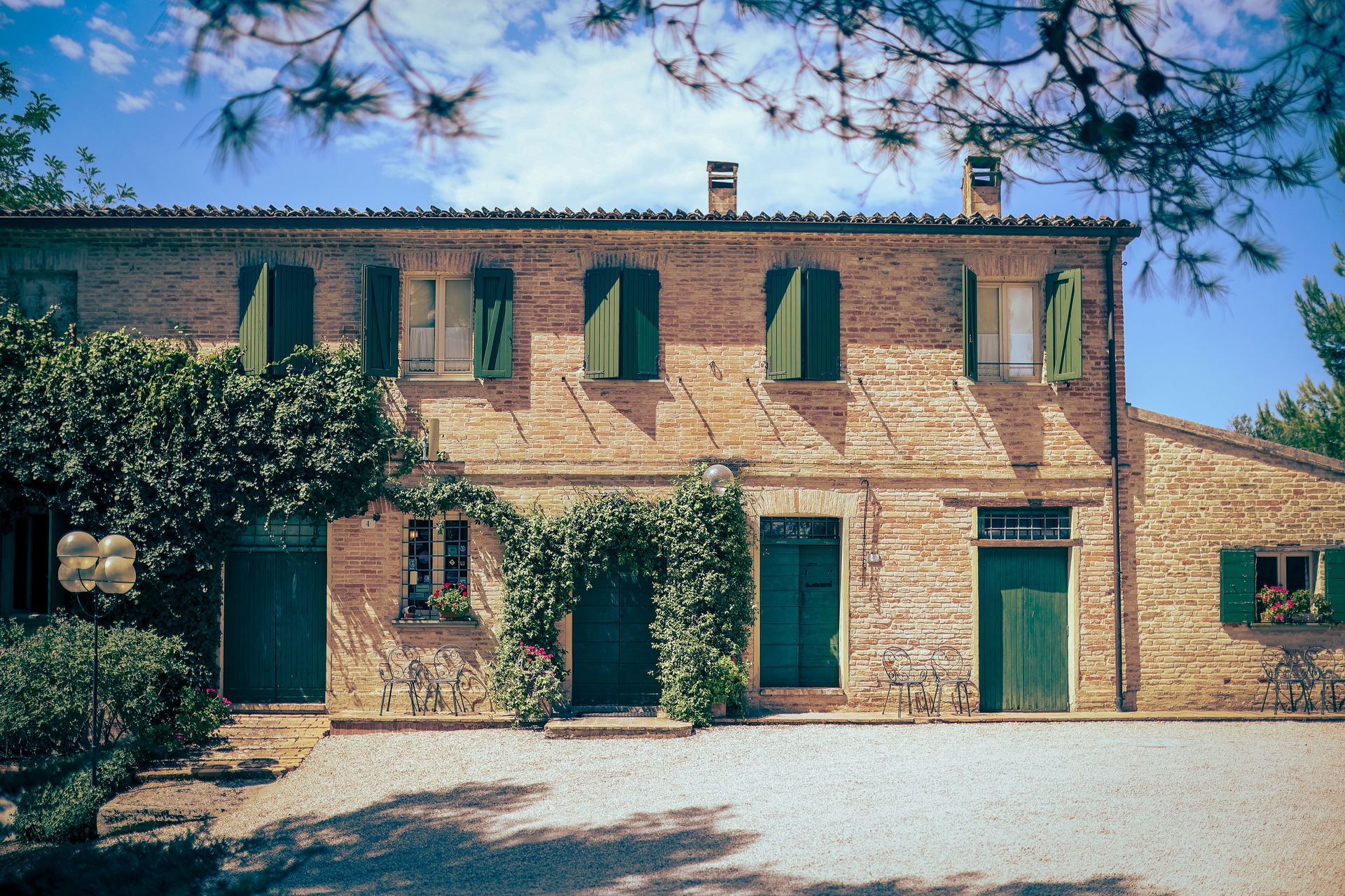 Dexter Function Band Review Wedding All foreign locations