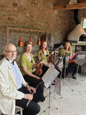 Event Darlton Ensemble String Quartet With Flute Stockport, Greater Manchester
