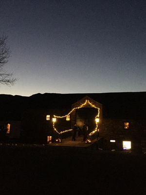 Event Solar Strings String Quartet Cramlington, Newcastle Upon Tyne