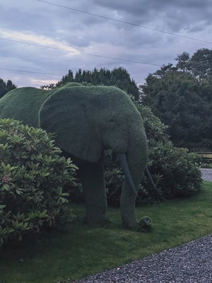 Event The Marlins Function Band North Yorkshire