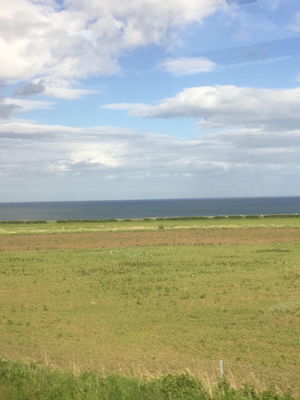 Event Danny C Singer Guitarist West Yorkshire