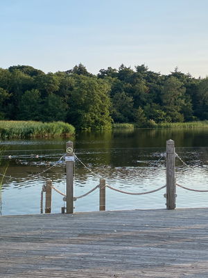 Wedding in Norfolk on 17 August 2024