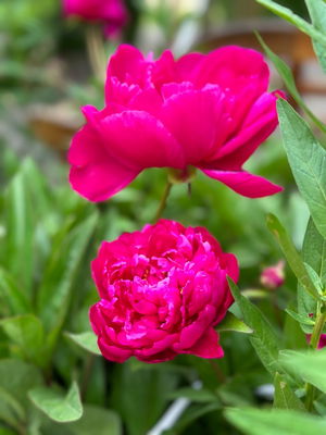 Event The Compilation Function Band Brighton, East Sussex