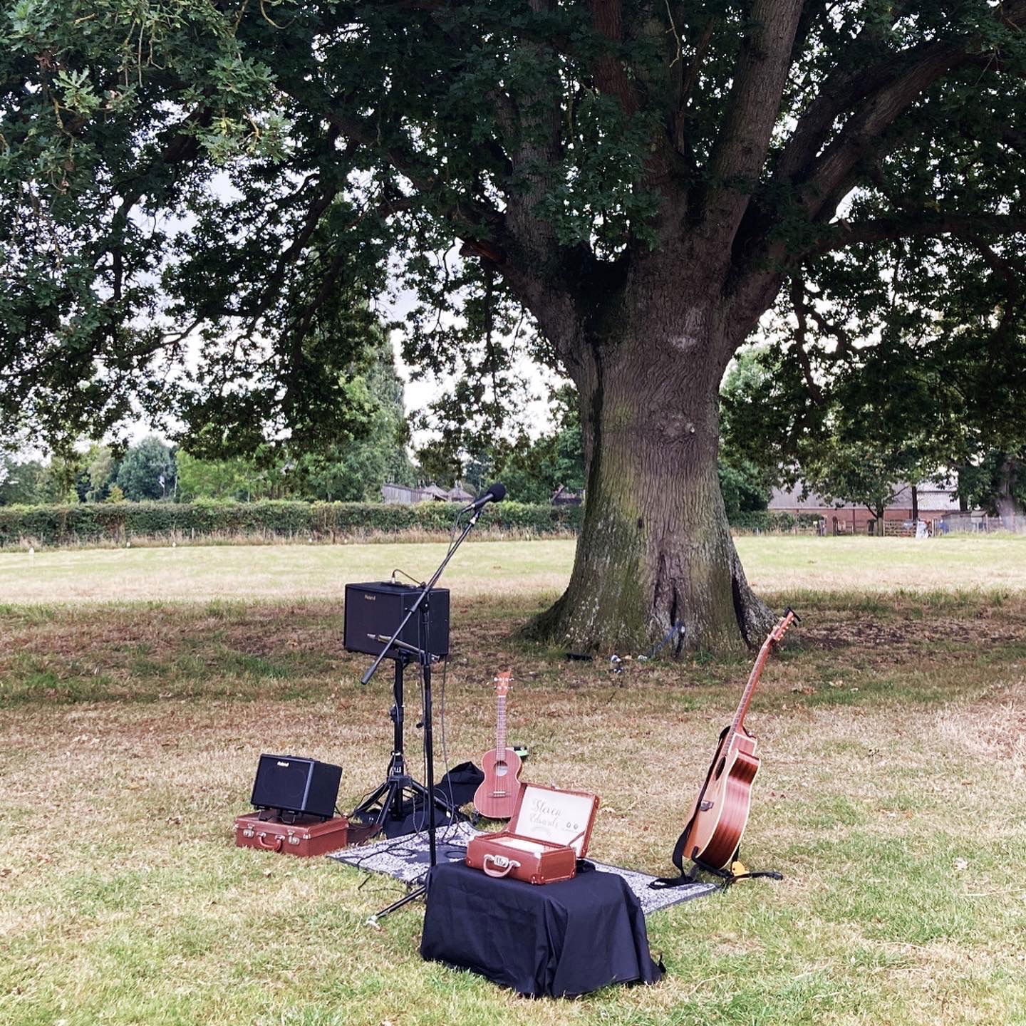 Steven J Singer Guitarist Review Wedding East Sussex