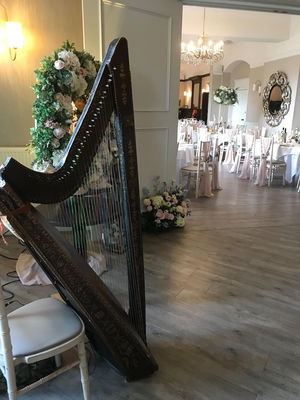 Event FW Harp (Harpist) Harpist West Yorkshire
