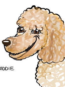 Event C R Caricatures Caricaturist Telford, Shropshire