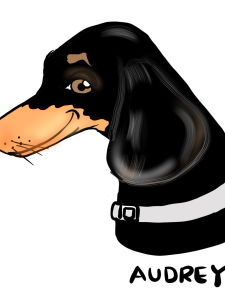 Event C R Caricatures Caricaturist Telford, Shropshire