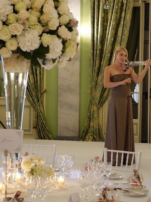 Event The Northern Violinist (Electric and Classical) Electric Violinist North Lincolnshire