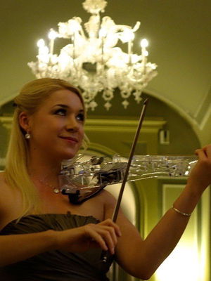 Event The Northern Violinist (Electric and Classical) Electric Violinist North Lincolnshire