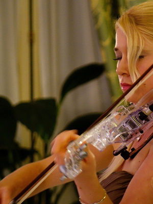 Event The Northern Violinist (Electric and Classical) Electric Violinist North Lincolnshire