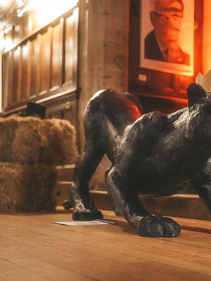 Event The Hot Shots Function Band Essex