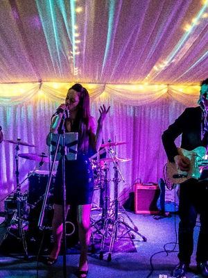 Event White Gold Function Band Norfolk