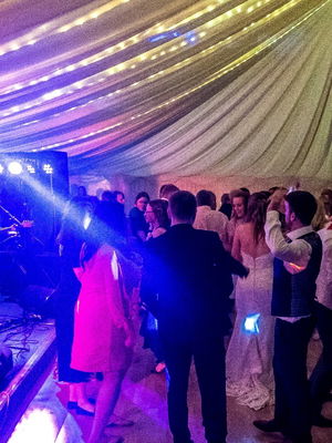 Event White Gold Function Band Norfolk