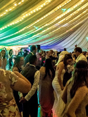 Event White Gold Function Band Norfolk