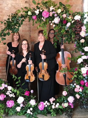 Event Prosecco Quartet String Quartet Malvern, Worcestershire