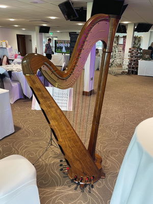 Event J H Harp (Harpist) Concert Harpist Bath, Somerset