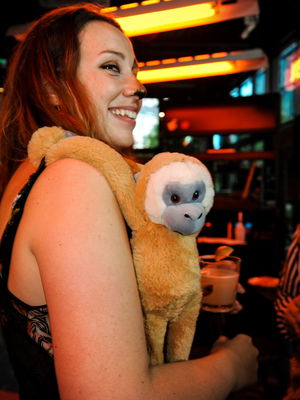 Event Comedy Paparazzi Street Performer East Sussex