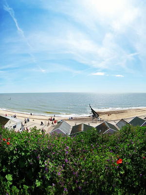 Event The T-Tones Acapella group Suffolk