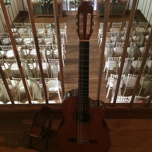 Nicole P booked Dennis OKelly for  their wedding in Devon Dennis OKelly Classical Guitarist Review Wedding Devon