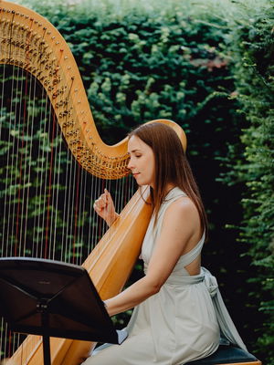 Event Elegant Harp Harpist Greater Manchester
