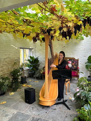 Event Elegant Harp Harpist Greater Manchester