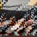 Hermione K booked Uke Complete Me for their event in London Uke Complete Me Solo Artist, Duo or Trio Review Other Event Type London