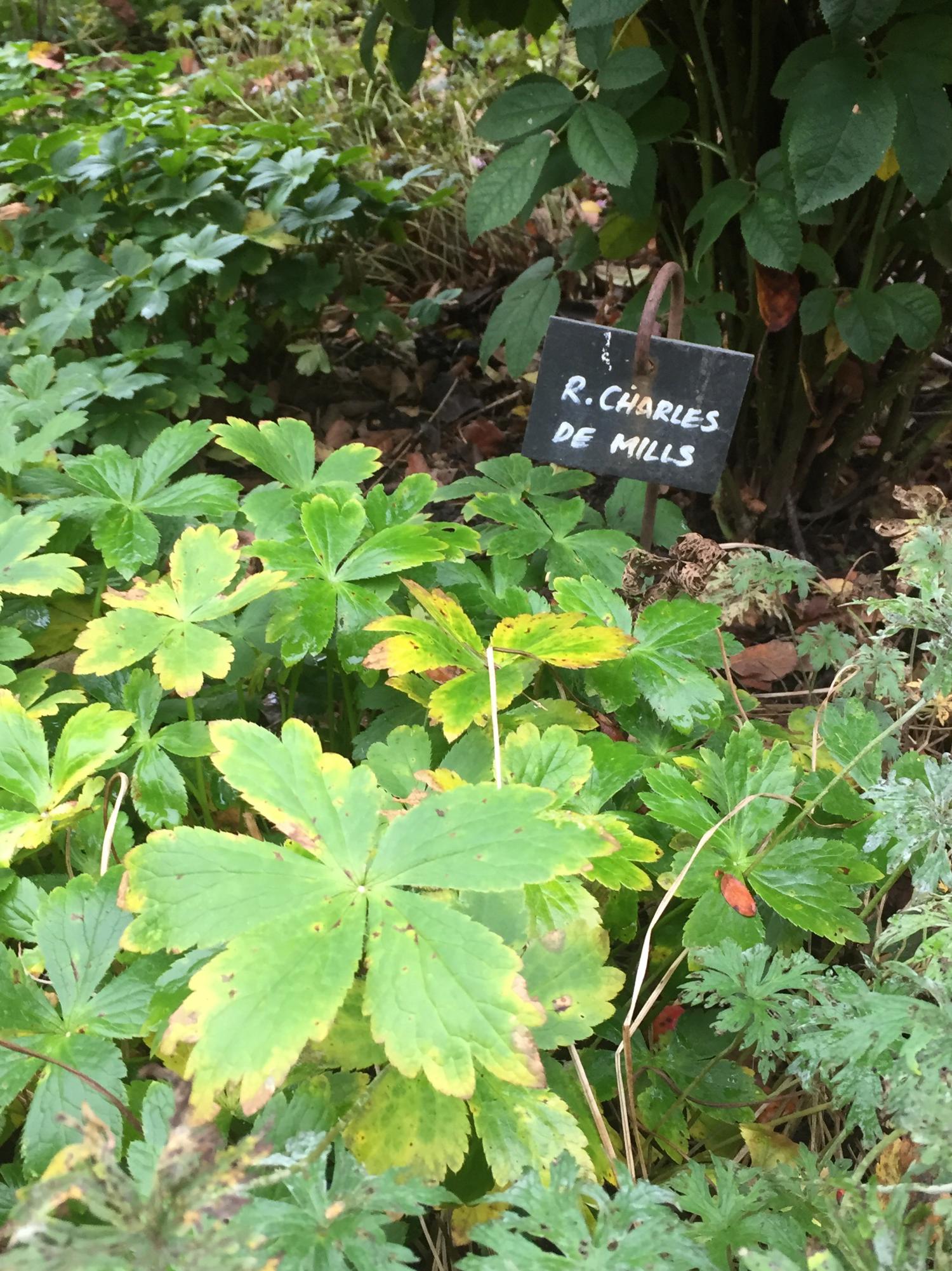 Danny C Singer Guitarist Review Wedding North Yorkshire