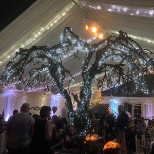 Wedding in Leicestershire