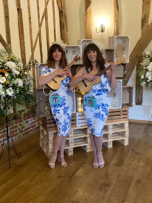 Event Uke Complete Me Ukulele Roaming Duo or Band London